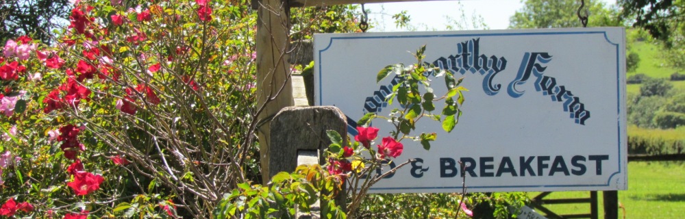 Langworthy Farm Bed and Breakfast, Dartmoor