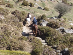 Riding on Dartmmor